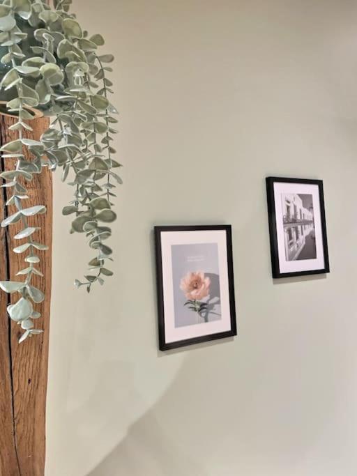 Apartment Le Jardin Maconnais De Miss K *